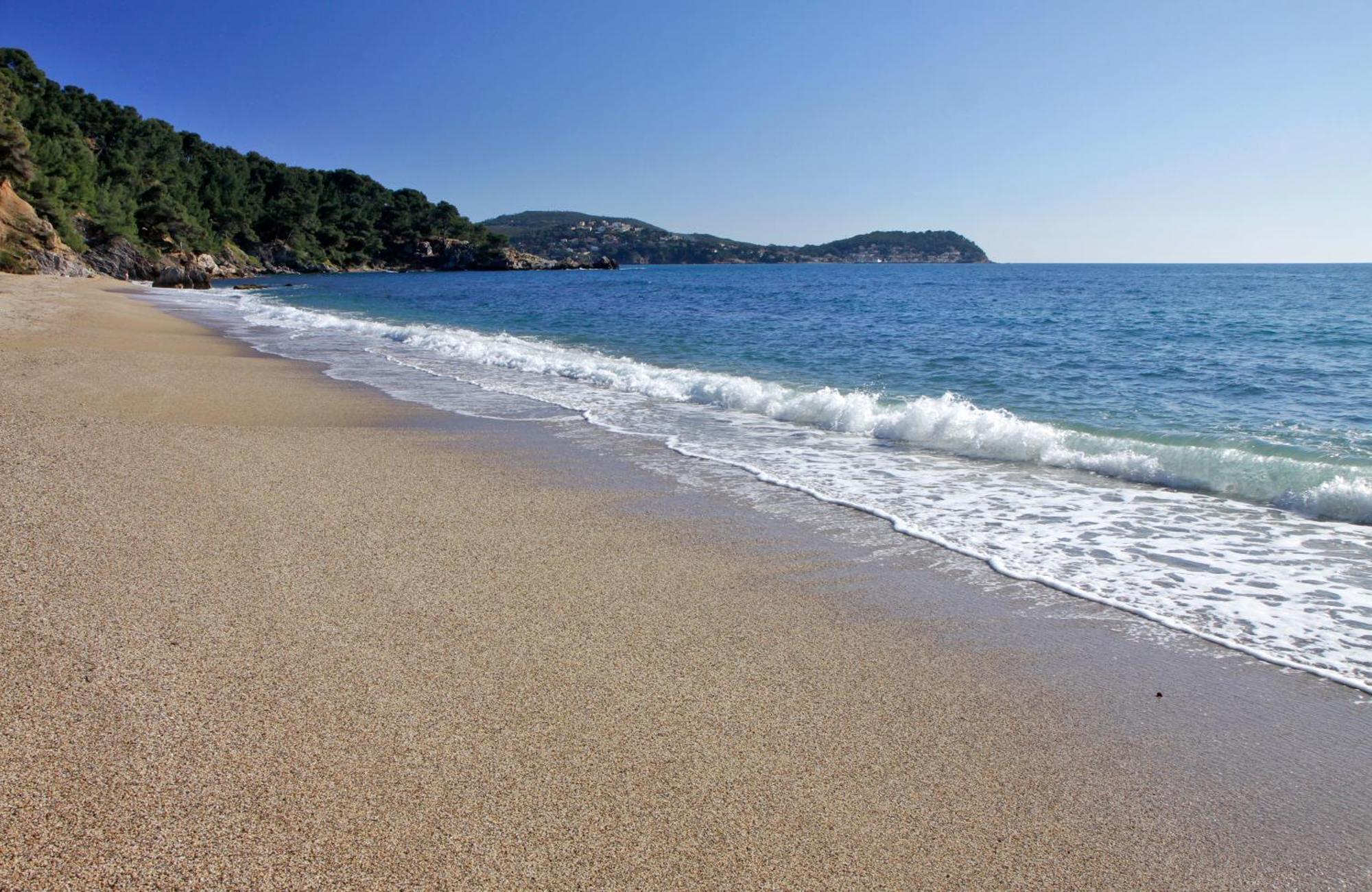 A Deux Pas De La Plage De Sable Le Pradet Zewnętrze zdjęcie